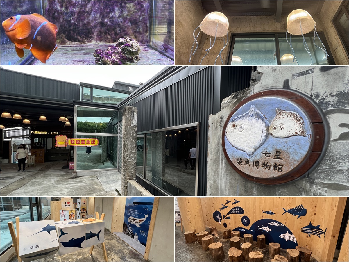 花蓮新城鄉。七星柴魚博物館~雨天避暑備案，海洋生態教育、多媒體互動，手作體驗刨柴魚💖