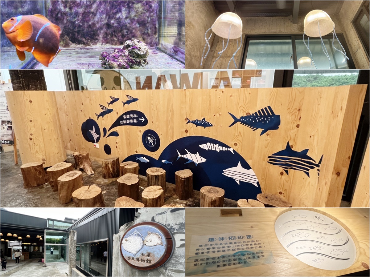 花蓮新城鄉。七星柴魚博物館~雨天避暑備案，海洋生態教育、多媒體互動，手作體驗刨柴魚💖