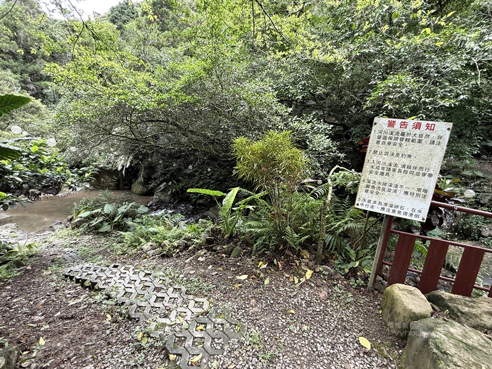 佛系親子旅行,懶人露營,苗栗露營