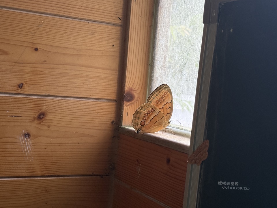 佛系親子旅行,懶人露營,苗栗露營