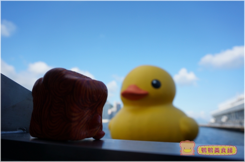 即時熱門文章：香港尖沙咀。黃色巨鴨Rubber Duck朝聖計畫